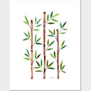 Bamboo Posters and Art